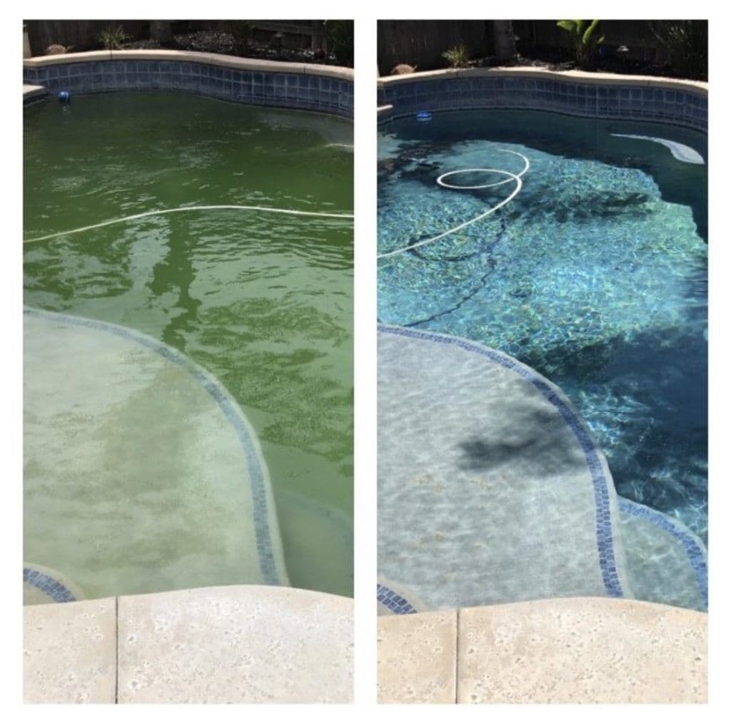 A Good Life Pools client's pool: green with algae on the left, clear and blue after service on the right